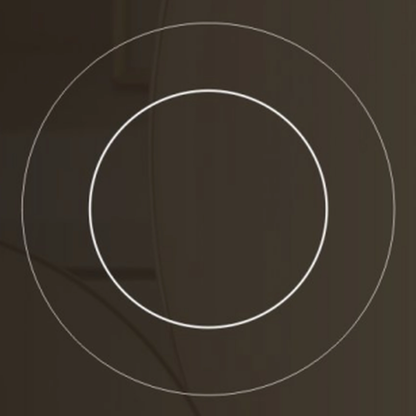 Dinner plate