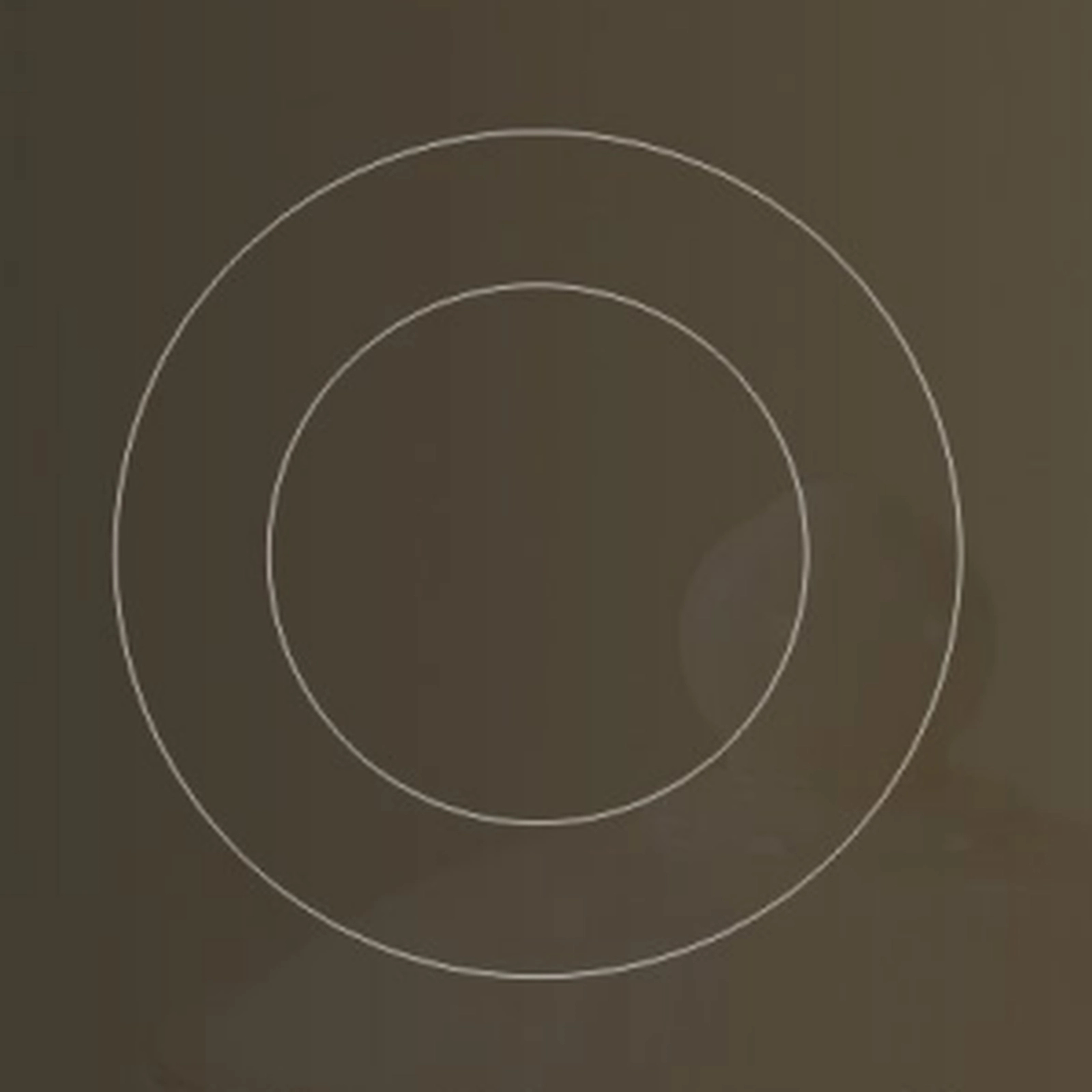 Flat plate